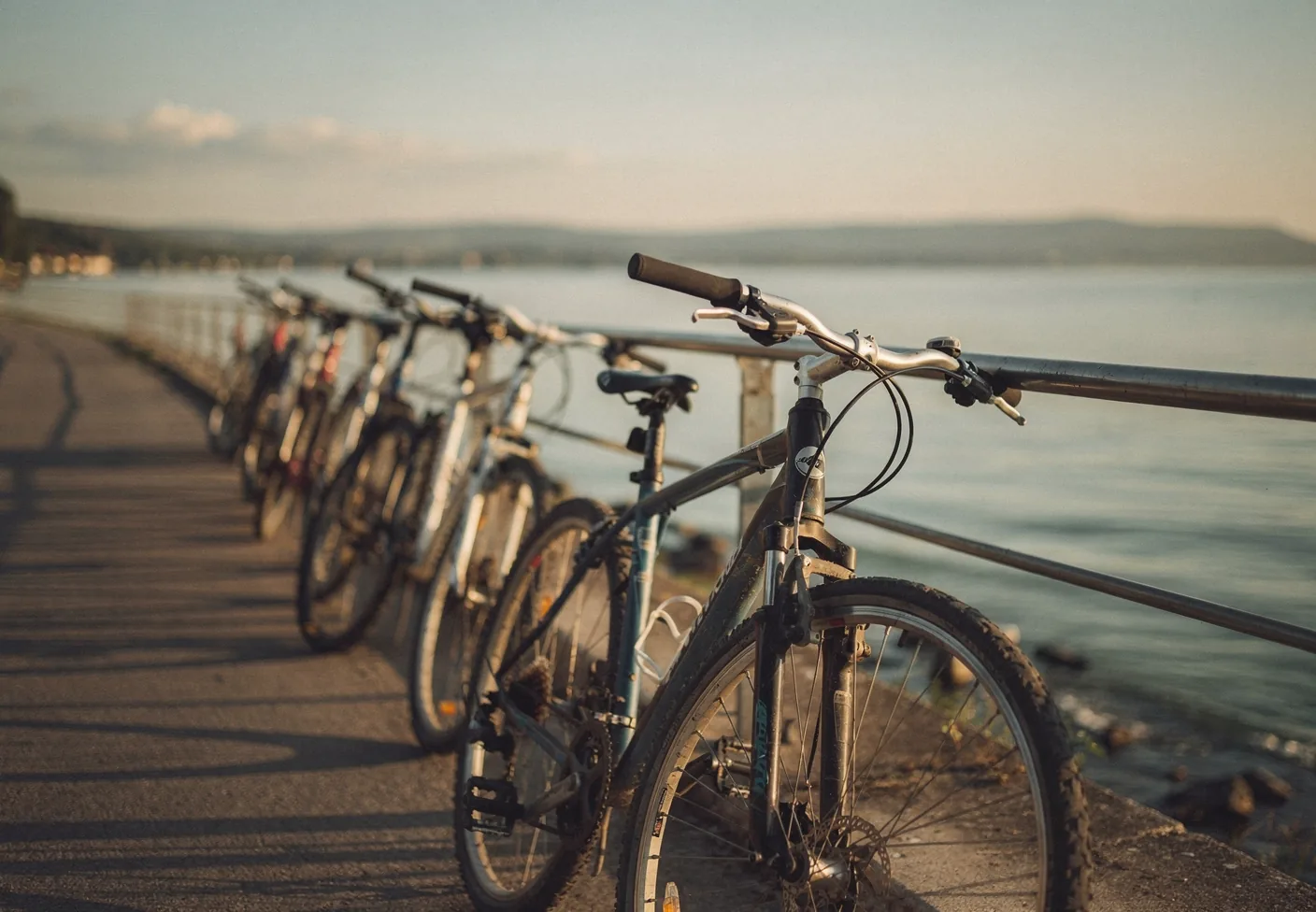 Cycling tourism situation analysis and tour-guide training