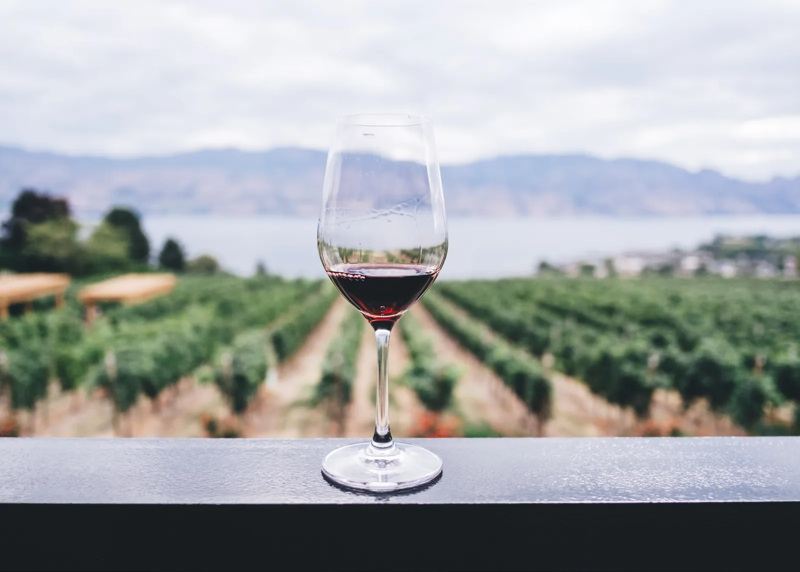Winery brand strategy: design thinking and experience design in wine tourism